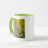 Mug Utah. États-Unis. Peupliers Trembles (Populus Trem (Devant gauche)