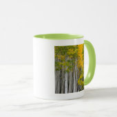 Mug Utah. États-Unis. Peupliers Trembles (Populus Trem (Devant droit)