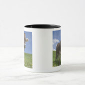Mug vache bavaroise (Centre)