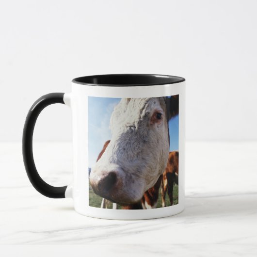 Mug Vache dans le domaine, plan rapproché (Gauche)