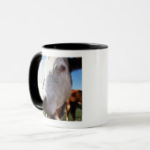 Mug Vache dans le domaine, plan rapproché (Devant gauche)