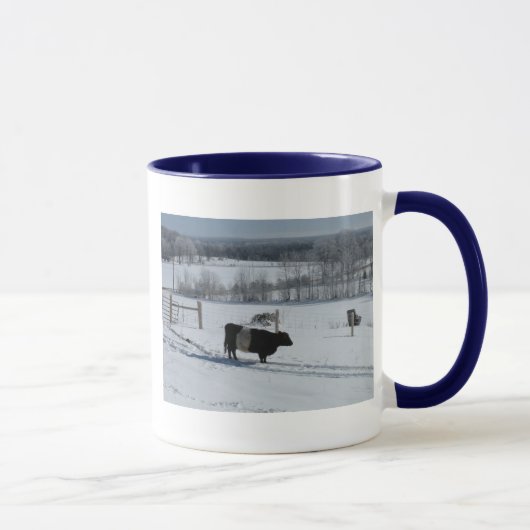 Mug Vache de galloway ceinturée dans un magnifique pay (Droite)