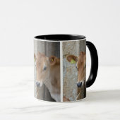 Mug Vache du Jersey/tasse de veau (Devant droit)