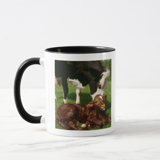 Mug Vache et veau nouveau-né (Gauche)