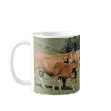 Vache léchant son veau