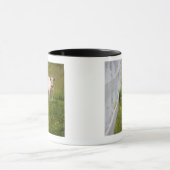 Mug Vaches dans le domaine (Centre)
