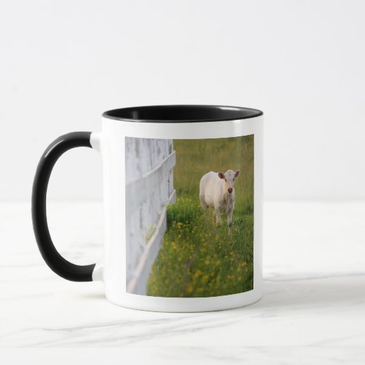 Mug Vaches dans le domaine (Gauche)