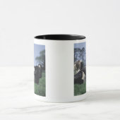 Mug vaches dans un pâturage (Centre)