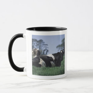 Mug vaches dans un pâturage