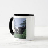 Mug vaches dans un pâturage (Devant gauche)