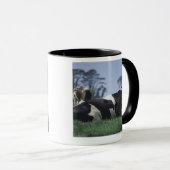 Mug vaches dans un pâturage (Devant droit)