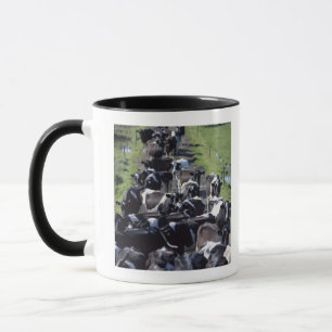 Mug Vaches laitières de Fresian, attendant la traite,