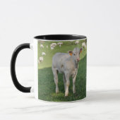 Mug Veau crème du charolais (Gauche)