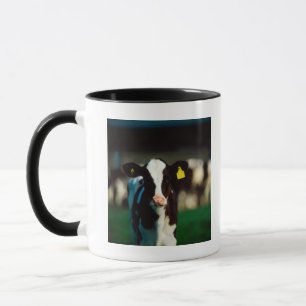 Mug Veau de frison du Holstein