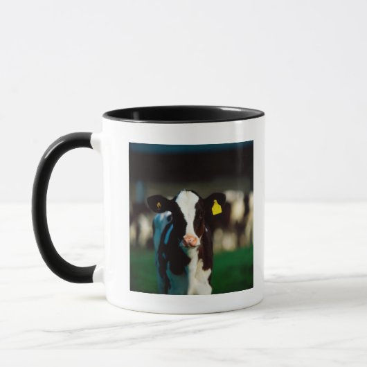 Mug Veau de frison du Holstein (Gauche)