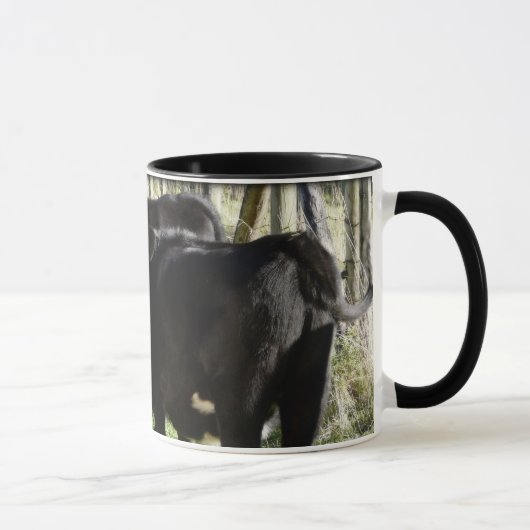 Mug Veaux noirs de génisse d'Angus (Droite)