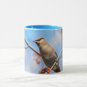 Mug Vélin de Bohême - Faune canadienne - Photographie