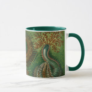 Mug Vers anciens Annélides Chétopodes par Ernst Haecke