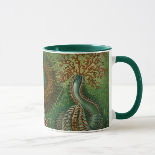 Mug Vers vintages Annelids Chaetopoda par Ernst Haecke (Droite)
