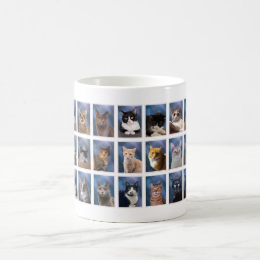 Mug (Version ancienne) The Boring Group Cat Class of 2 (Centre)