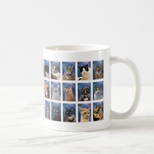 Mug (Version ancienne) The Boring Group Cat Class of 2