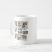 MUG VERTÈBRE MAMMIFÈRE FOSSILISÉE (Devant gauche)