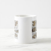 MUG VERTÈBRE MAMMIFÈRE FOSSILISÉE (Centre)