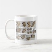 MUG VERTÈBRE MAMMIFÈRE FOSSILISÉE (Gauche)