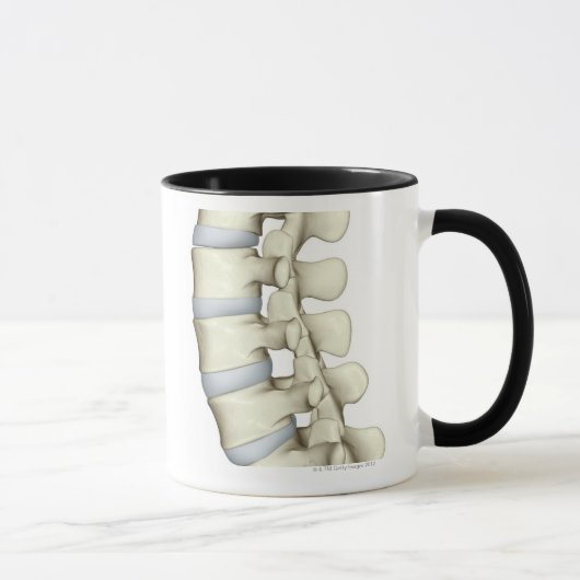 Mug Vertèbres lombaires (Droite)