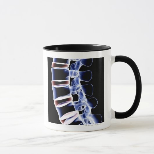 Mug Vertèbres lombaires 2 (Droite)