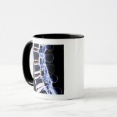 Mug Vertèbres lombaires 2 (Devant gauche)