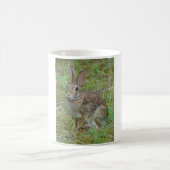 Mug Vêtements et cadeaux de coton de l'Est du lapin sa (Centre)