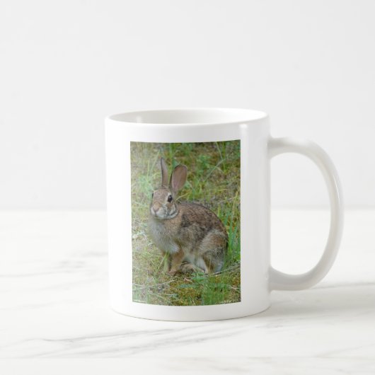Mug Vêtements et Cadeaux de Lapin de Garenne Oriental (Droite)