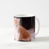 Mug Vétérinaire Chaton Orange  (Devant droit)