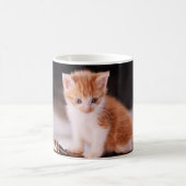 Mug Vétérinaire Chaton Orange  (Centre)