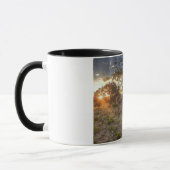 Mug Vieille église du Nouveau Mexique (Gauche)