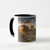Mug Vieille église du Nouveau Mexique (Devant gauche)