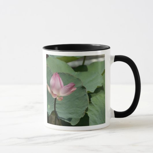 Mug Vietnam, près de Saigon) My Tho. Vinh Trang 2 (Droite)