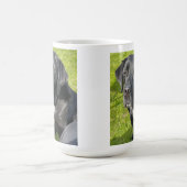 Mug Vieux Chien du Labrador (Centre)