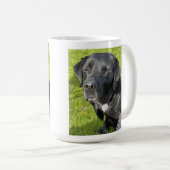 Mug Vieux Chien du Labrador (Devant droit)