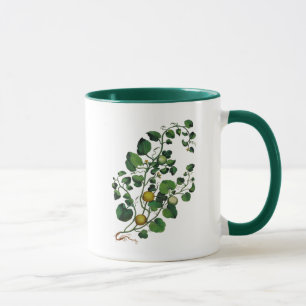 Mug Vigne de courge 4