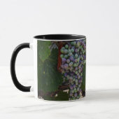 Mug Vignoble chilien (Gauche)