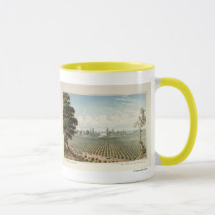 Mug Vignoble d'EL Pinal, le comté de San Joaquin
