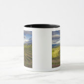 Mug Vignoble. Napa Valley. Napa. Comté de Napa, (Centre)