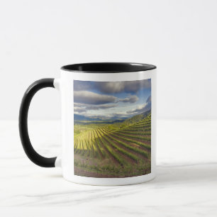 Mug Vignoble. Vallée de Napa. Napa. Comté de Napa,