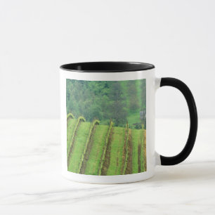 Mug Vignobles de raisin près de Newberg Oregon