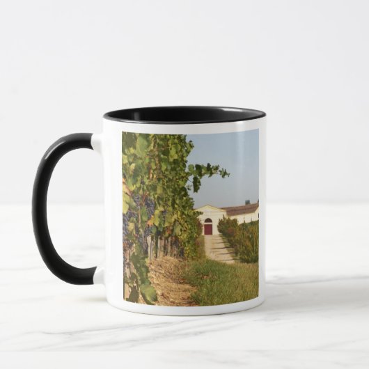 Mug Vignobles, vignes de petit verdot et la cave dans (Gauche)