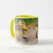 Mug Vigueur sur la parade : Goélands d'oies du Canada (Devant gauche)