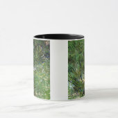 Mug Vincent Van Gogh - Touffes d'Herbe Beaux-Arts (Centre)