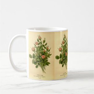 Mug Vintage Floral Orange Pompon Rose Nature Botanique